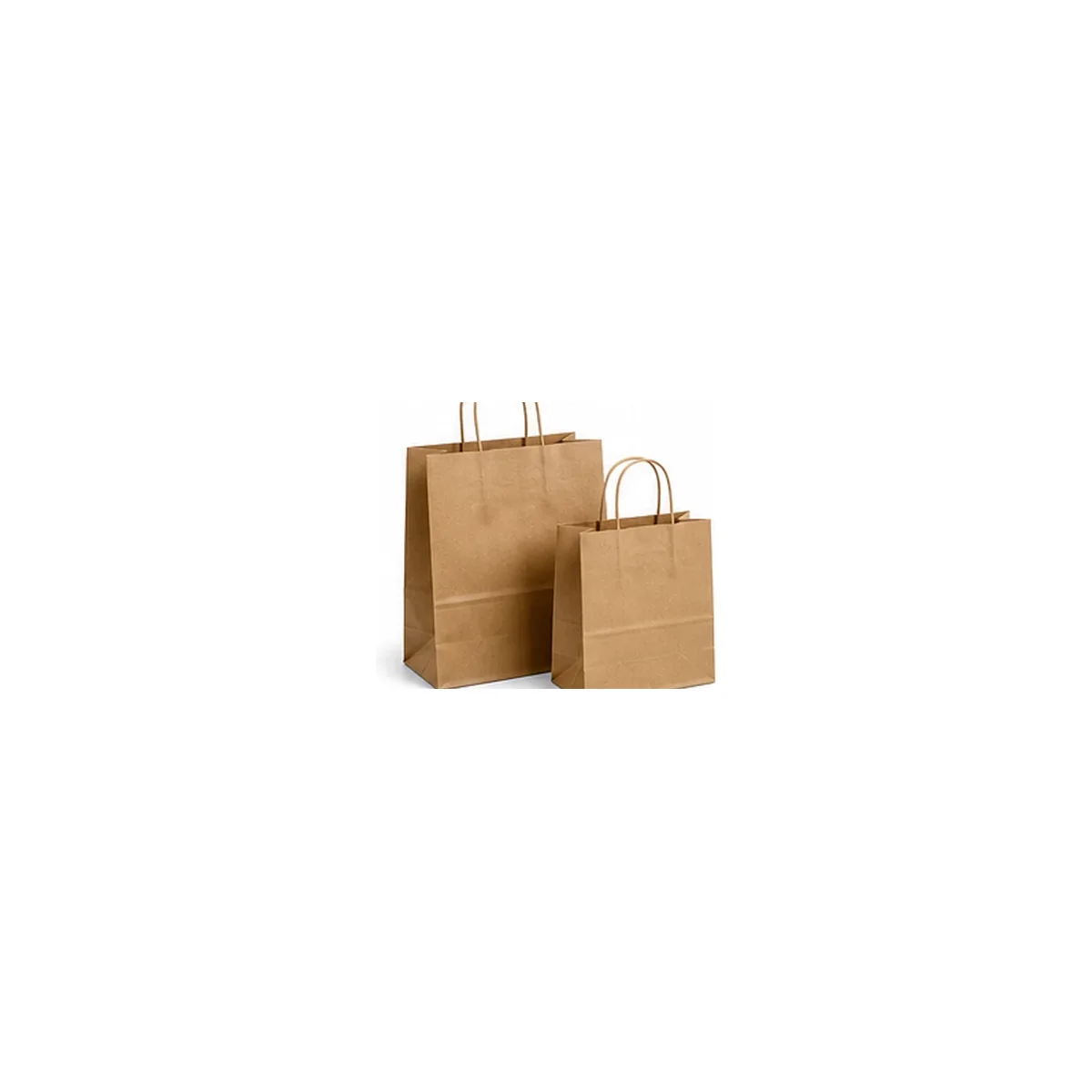 Paper Carry Bags